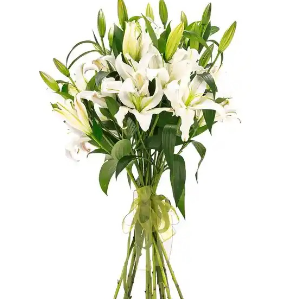  Erzincan Çiçek Siparişi - Premium Lilyum Buketi