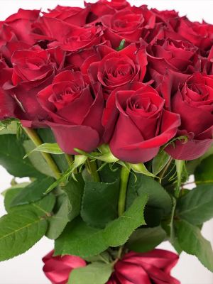  Erzincan Çiçek Siparişi - 24 Kırmızı Gül Buketi