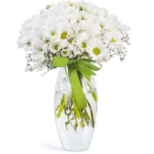  Erzincan Çiçekçiler - Vazoda Papatya